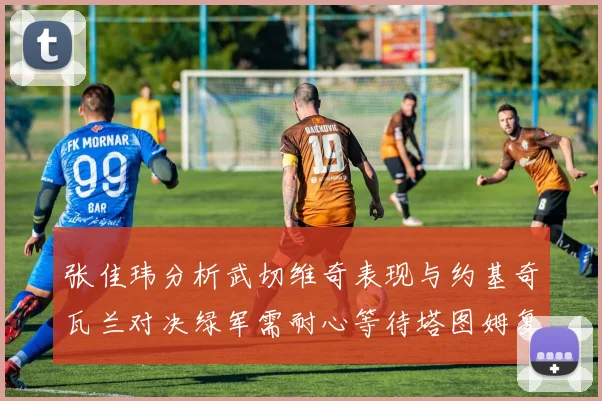 张佳玮分析武切维奇表现与约基奇瓦兰对决绿军需耐心等待塔图姆复出